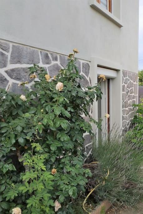 Grand Studio Avec Jardin Et Entree Privative A Noter Reservations De 3 Nuits Minimum Clermont-Ferrand Zewnętrze zdjęcie